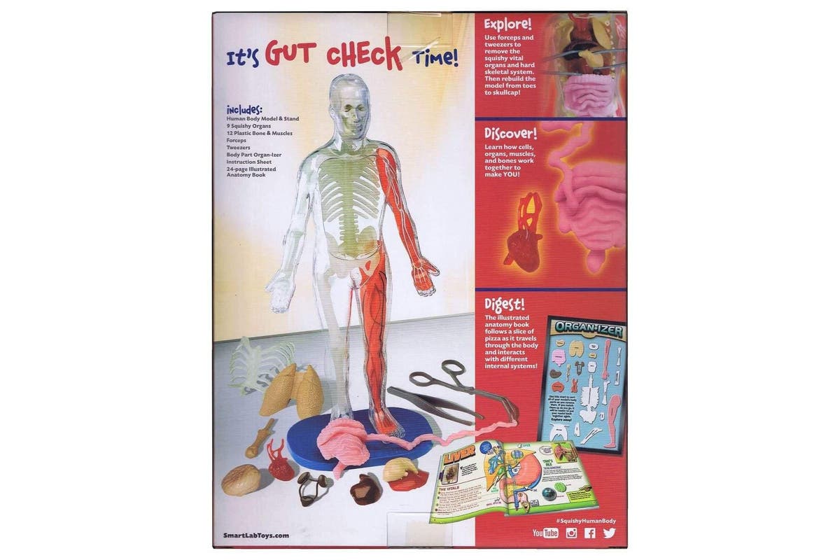 The Amazing, Gross, and Totally Awesome Human Body!