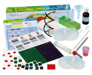 How hands-on scientific experiments benefit learning in children