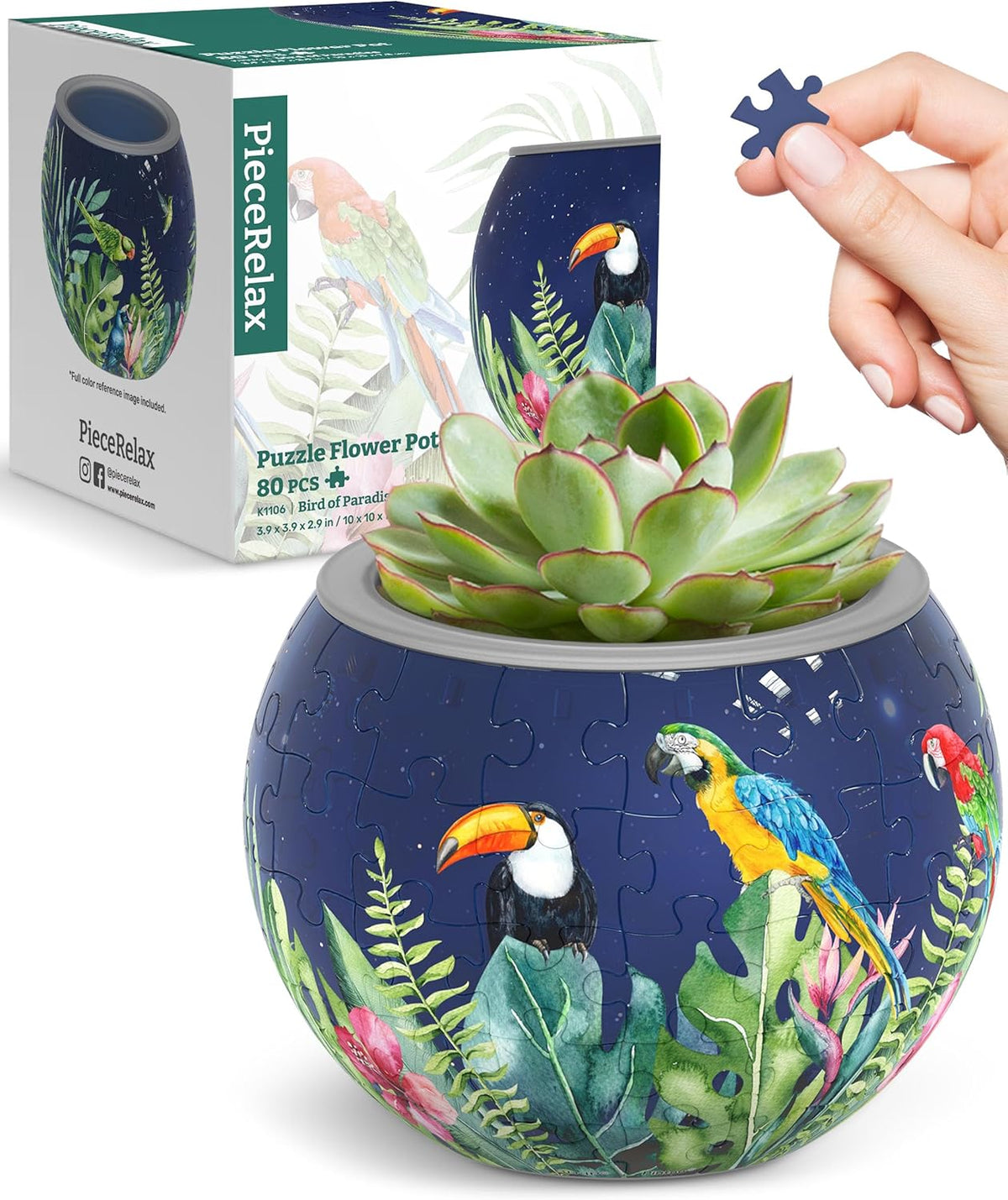 3D puzzle flowerpot with green succulent and colorful birds on blue body, gray rim