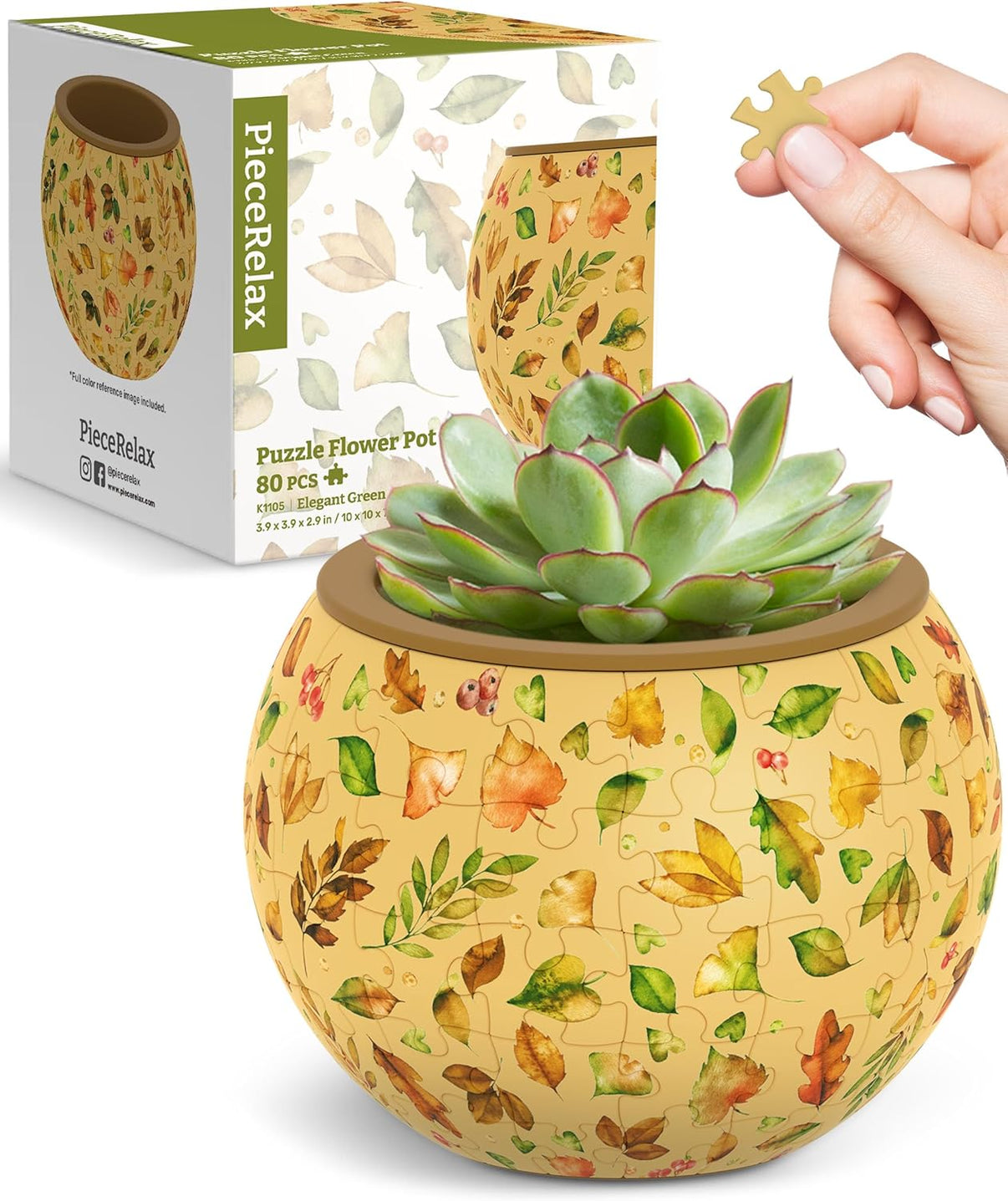 Decorative 3D flowerpot planter with green succulent and leaf pattern