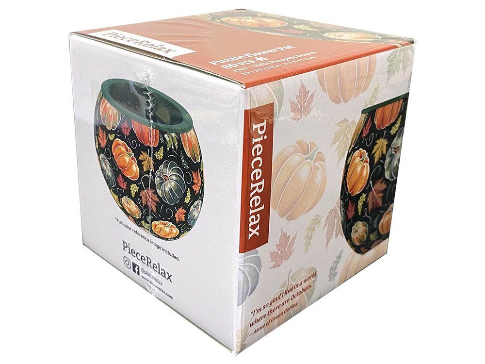 Puzzle flower pot kit box with illustrated plant pot design