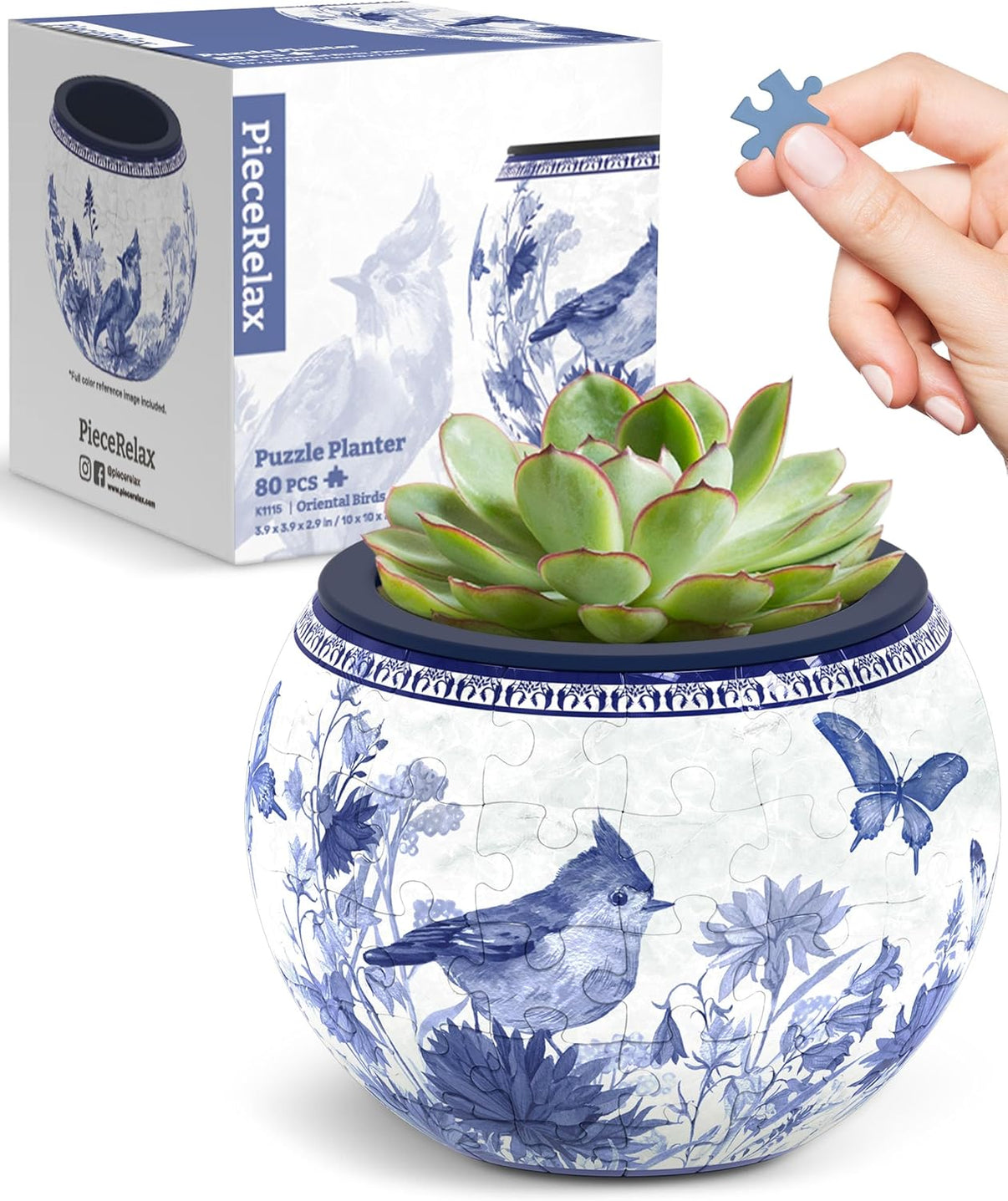 Pintoo 3D puzzle planter with blue bird design and green succulent in top opening