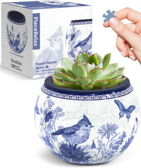 Pintoo 3D puzzle planter with blue bird design and green succulent in top opening
