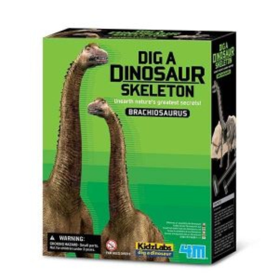 Dinosaur excavation kit box with Brachiosaurus skeleton model