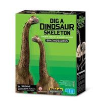 Dinosaur excavation kit box with Brachiosaurus skeleton model