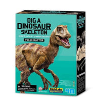 Velociraptor dinosaur dig kit box