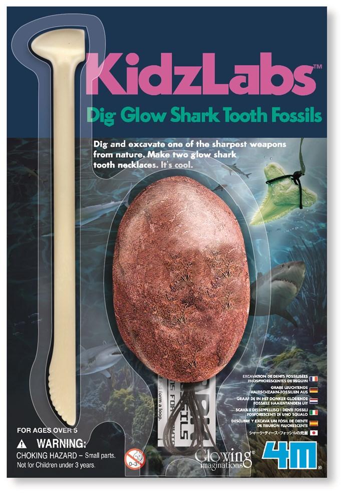 Kids shark tooth fossil dig kit package with fossil oval and excavating tool shape
