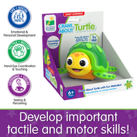 Crawl About Sea Turtle - The Learning Journey