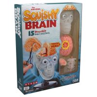 The Amazing Squishy Brain - Smart Lab