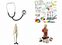 Human Anatomy Pack