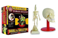Skull And Skeleton - Ein O Science