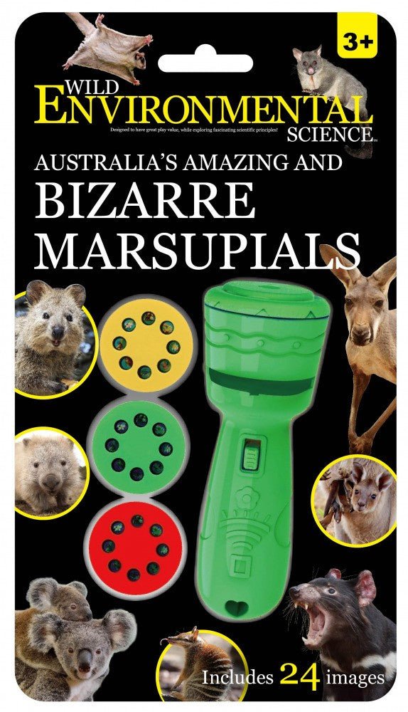 Animal projector torch assortment package with green torch and image discs