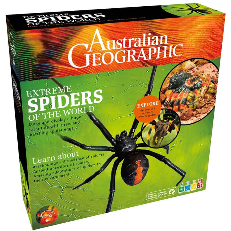 Spider activity book with Australian Geographic branding and large spider on front