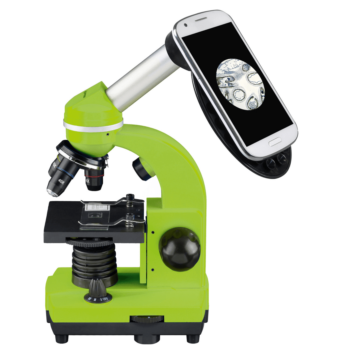 Green student microscope with viewing eyepiece, black stage, and dual focus knobs
