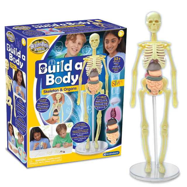 Brainstorm Build a Body skeleton and organs educational toy kit box with figure