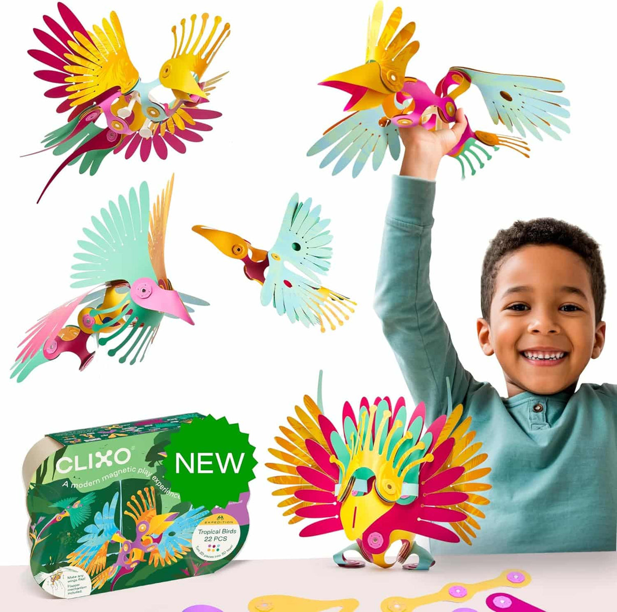 Colorful tropical bird magnetic pieces with wing-flap designs