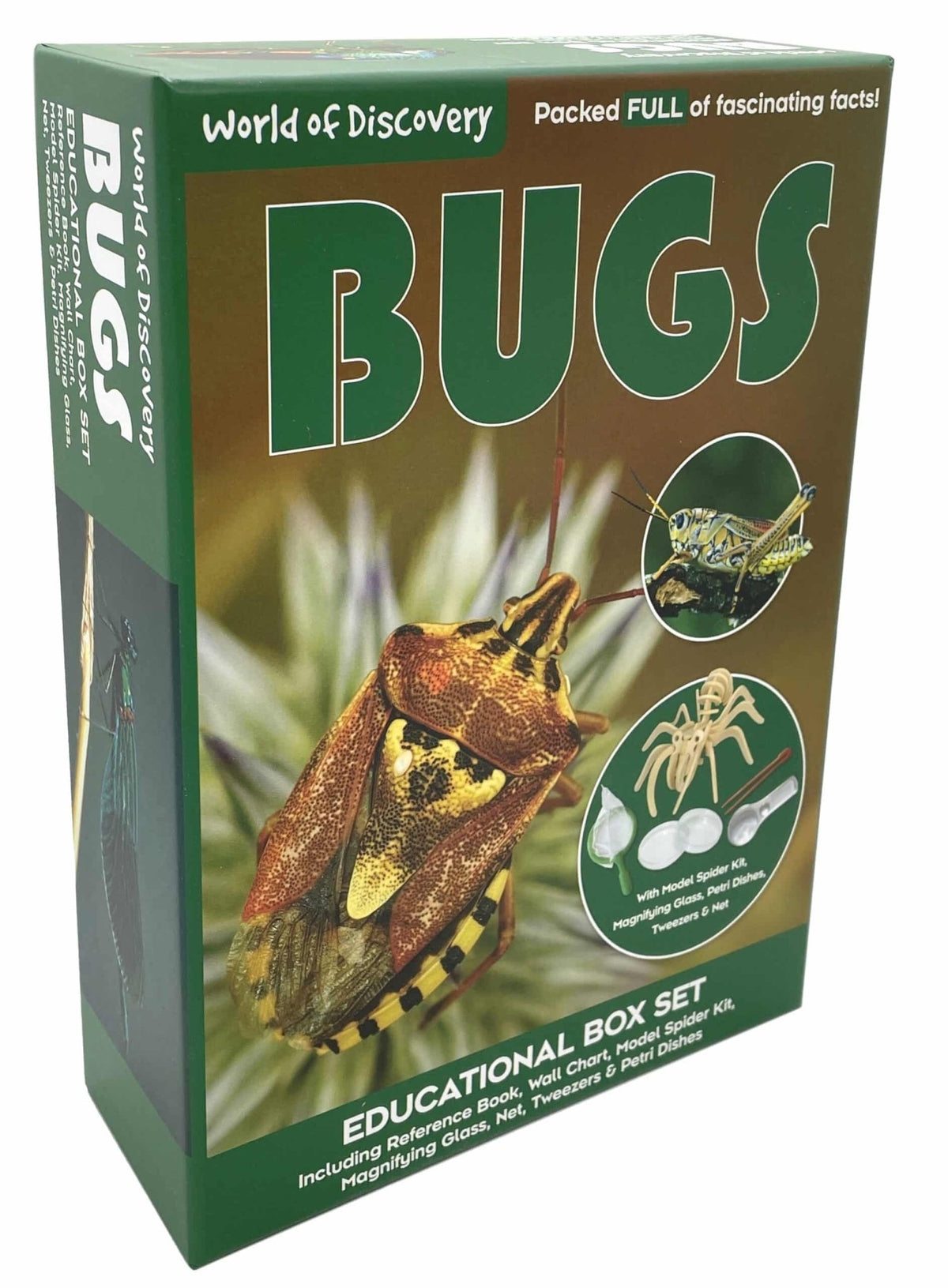 Educational bugs box set with green-and-brown printed cover and bug illustrations