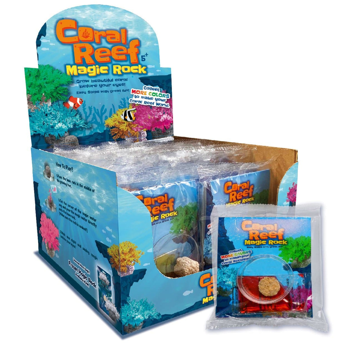 Coral reef magic rock science kit box with sample rock and small pouch