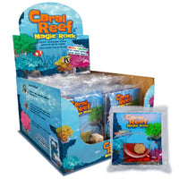 Coral reef magic rock science kit box with sample rock and small pouch