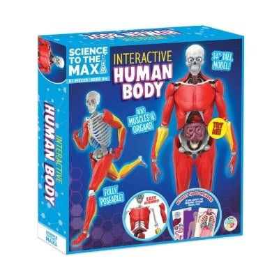 Science toy box showing a red human body figure with skeleton and organ graphics