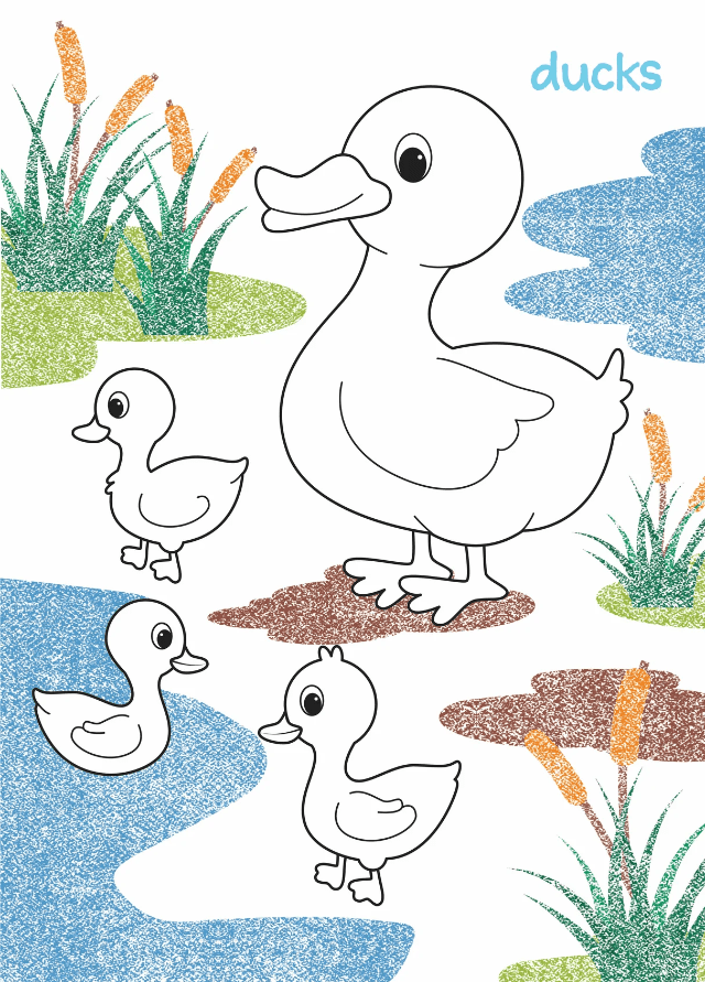 Farm animal colouring book page with multiple duck outlines and speckled ground