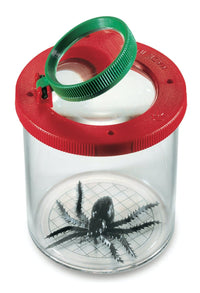Bug viewer with red container and green magnifying ring, showing a preserved spider
