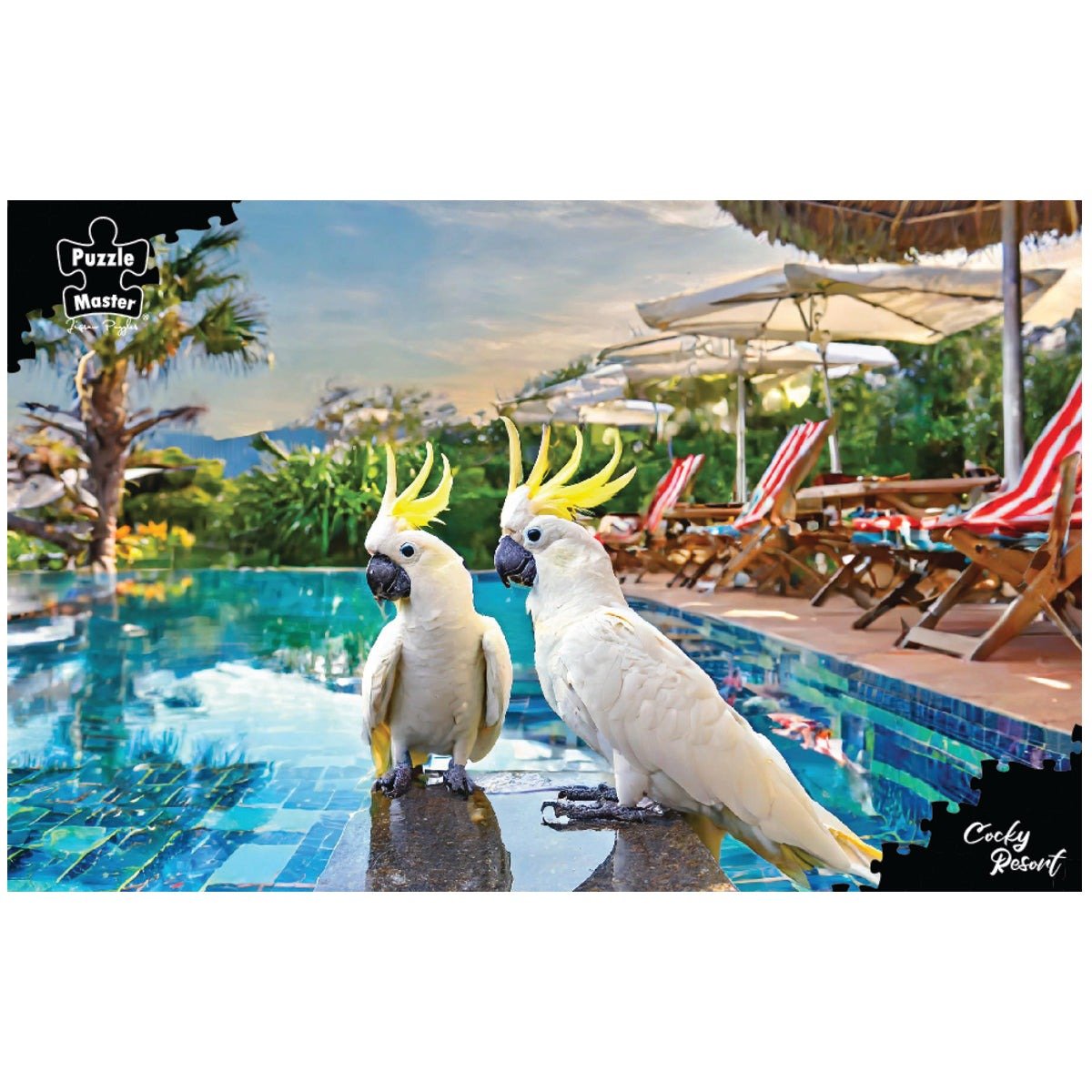 Puzzle Master 1000-piece jigsaw puzzle of two yellow-crested birds by resort pool