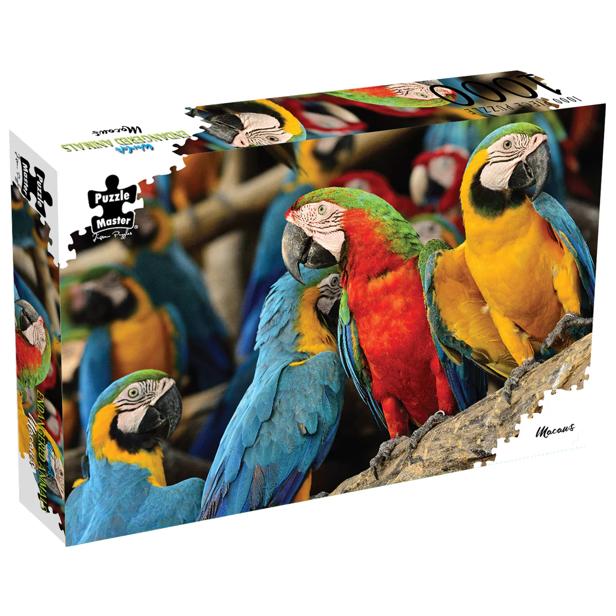 1000-piece puzzle box with colorful macaw birds illustration