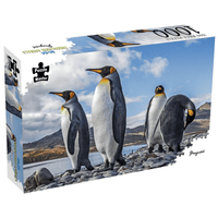 1000-piece puzzle box with penguin scene artwork and Puzzle Master logo on side