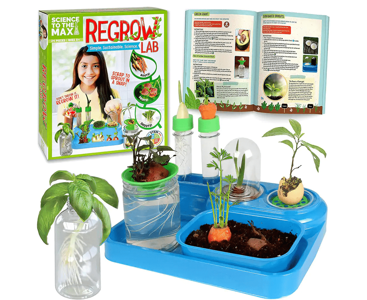 Regrow Lab plant growing kit with blue tray, seed cups, seedlings, and guidebook