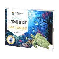 Stone Carving Kit -- Sea Turtle