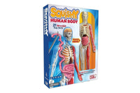Human body anatomy model kit with squishy skeleton and organs, in retail box