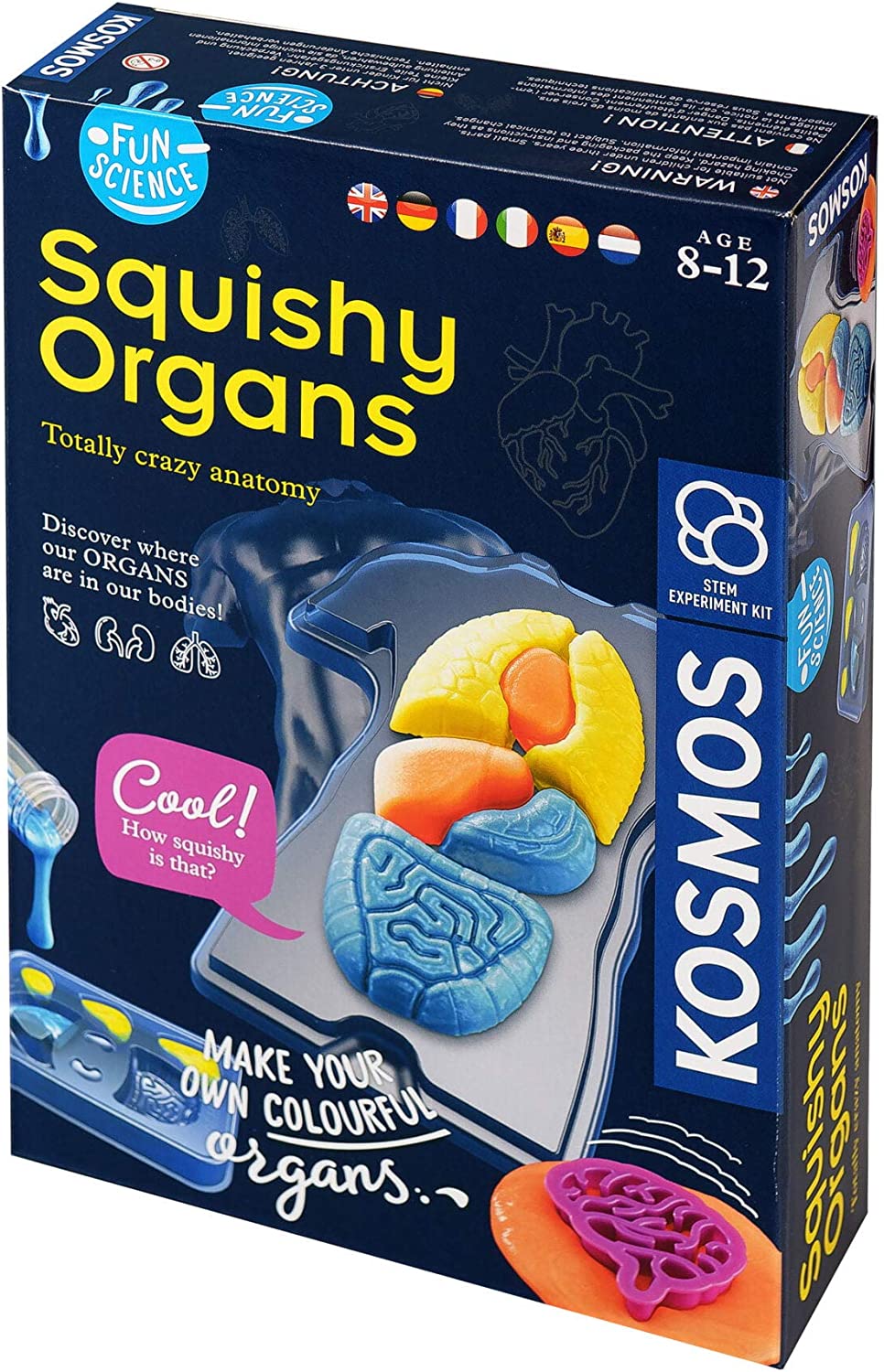 Squishy organs make-your-own kit box with colorful organ pieces and tools