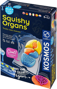 Squishy organs make-your-own kit box with colorful organ pieces and tools