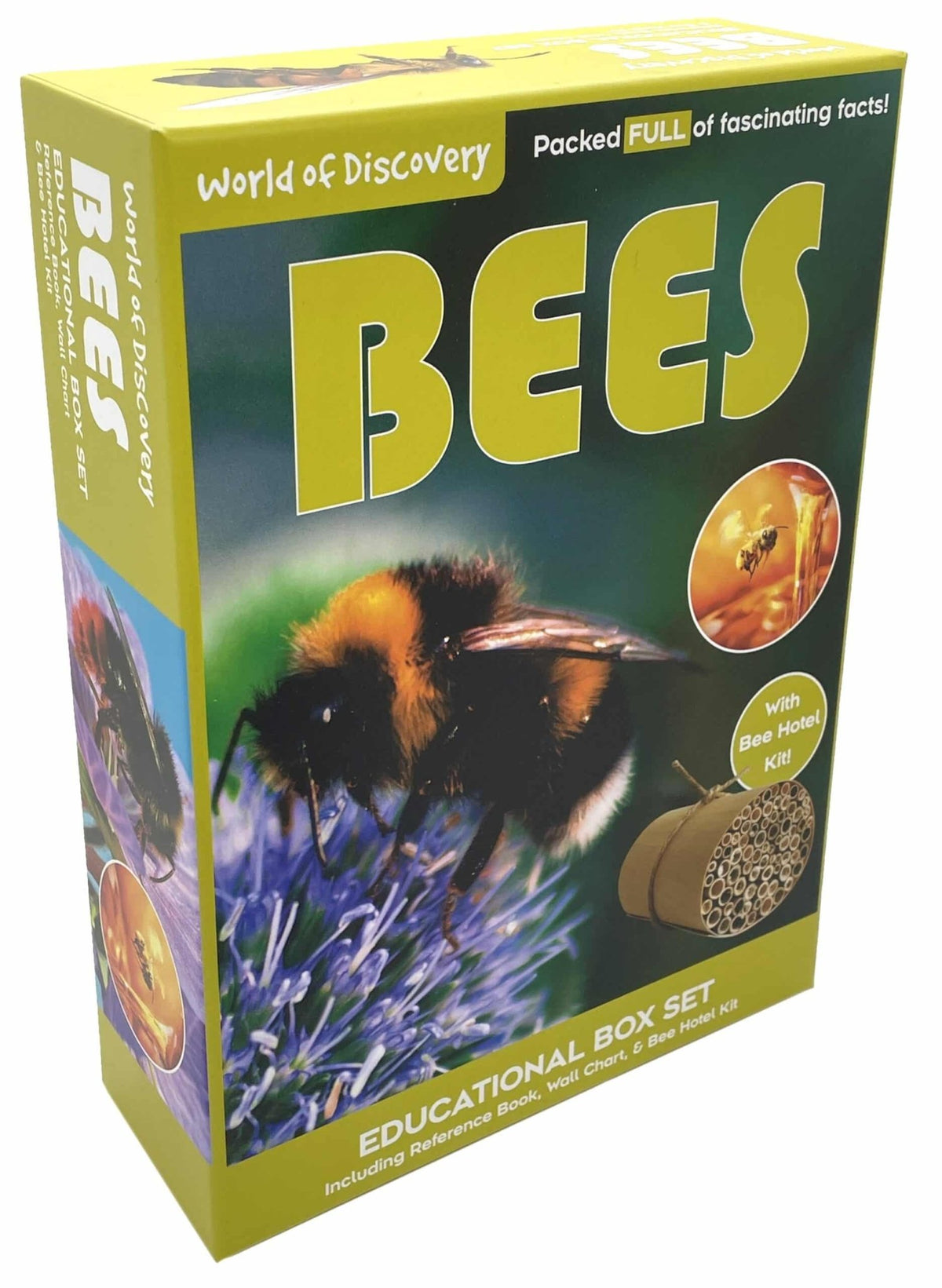 World of Discovery Bees educational box set with bee guide and hotel kit