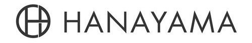 Hanayama Puzzle logo