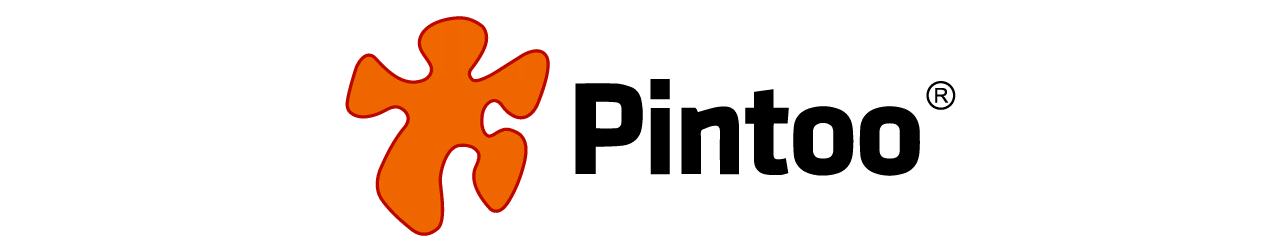 Pintoo logo