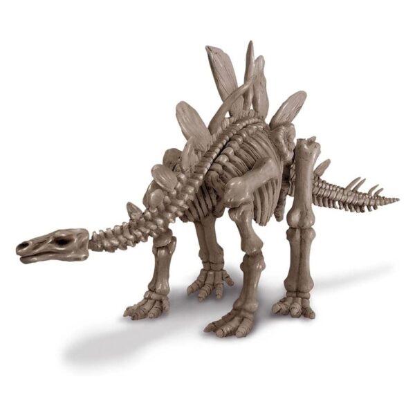 4m - Dig A Dinosaur - Stegosaurus 3