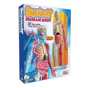 Squishy Human Body 1