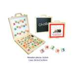 Magnetic Activity Case 1