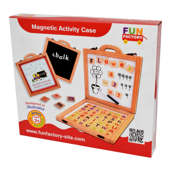 Magnetic Activity Case 2