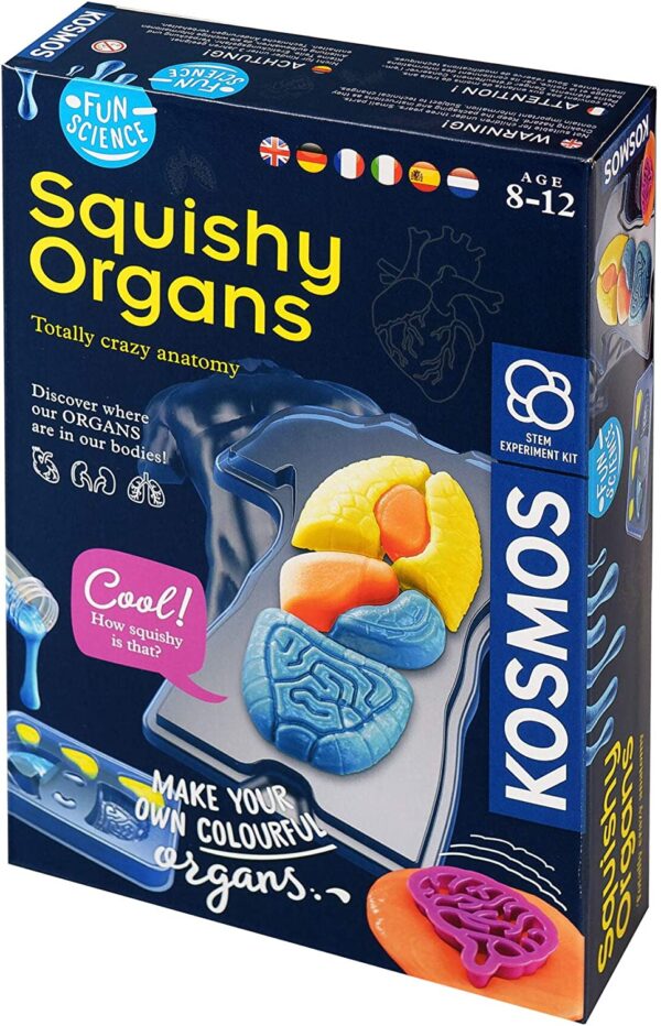 Squishy Organs – Make-Your-Own Squishy Human Body – Fun Science – Stem Experiment Kit