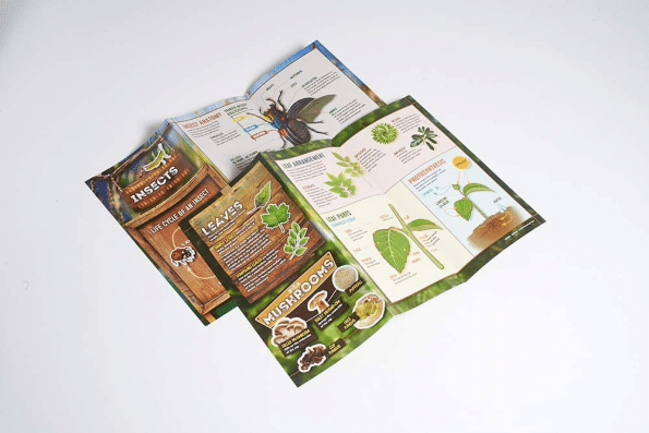 SmartLab — Outdoor Science Lab – 21 Hands On Nature Activities Science Kit
