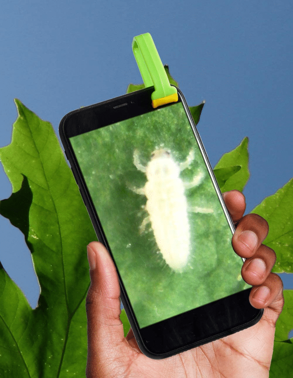 SmartLab — Outdoor Science Lab – 21 Hands On Nature Activities Science Kit
