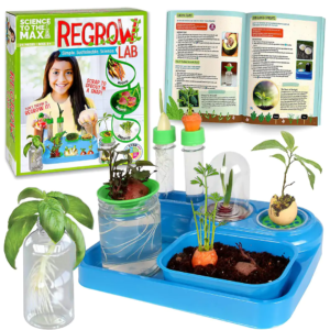 Science To The Max – Regrow Lab