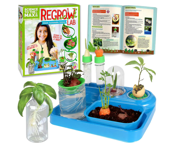 Science To The Max – Regrow Lab