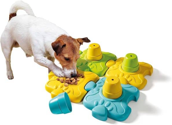 Clementoni Pet Lab My 4 Legged Friends Set