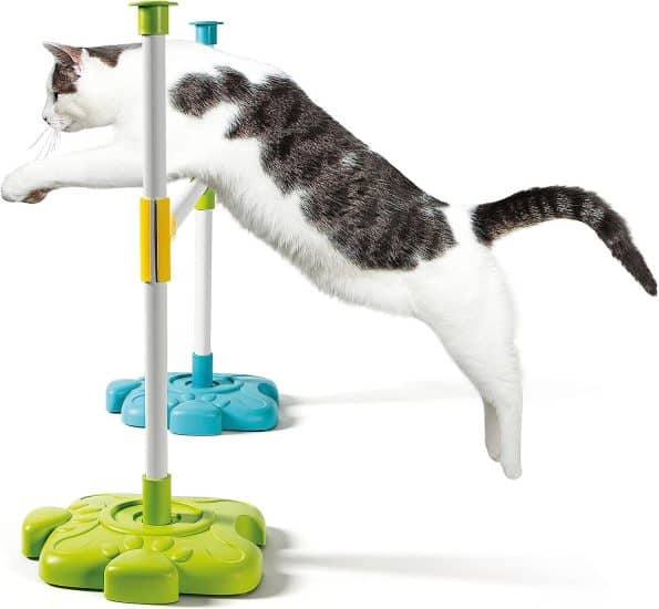 Clementoni Pet Lab My 4 Legged Friends Set