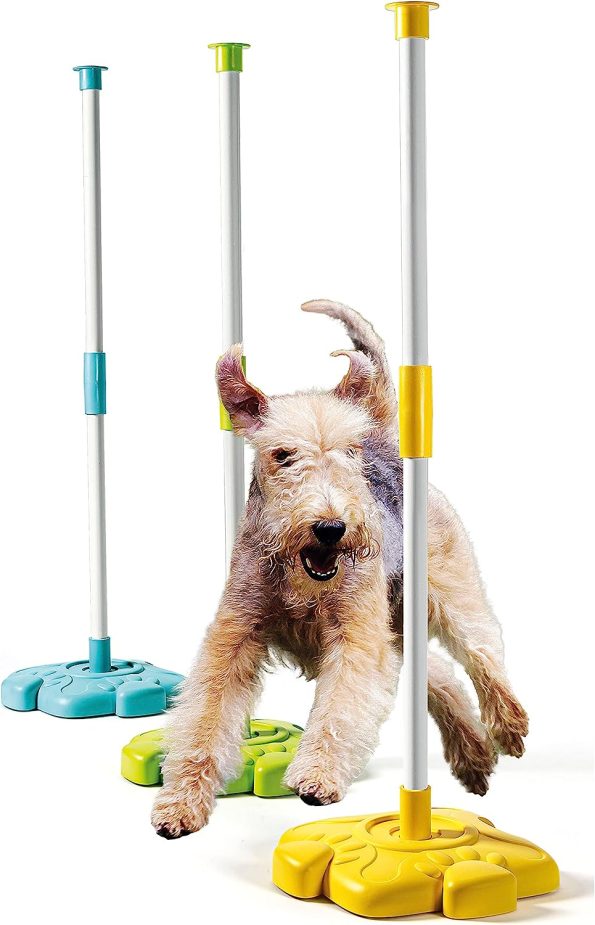 Clementoni Pet Lab My 4 Legged Friends Set